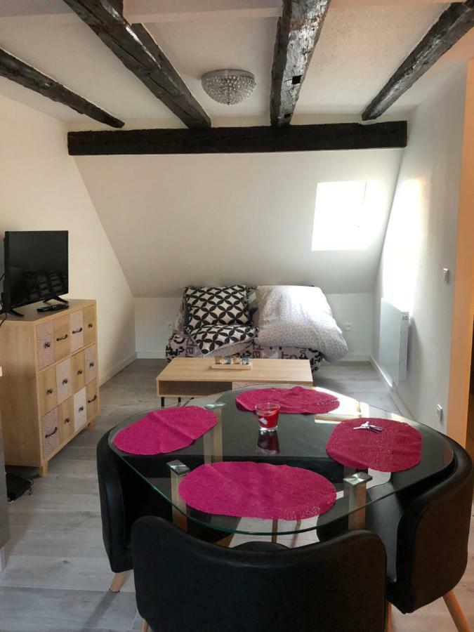 Apartamento Duplex Hyper Centre Colmar Exterior foto